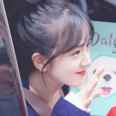 修理机械火焰三角龙